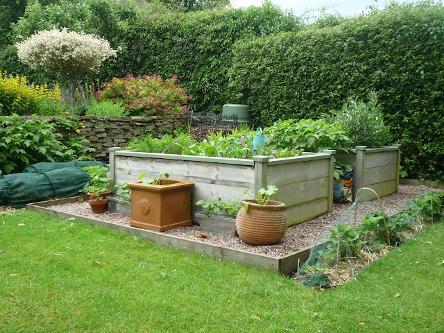 Wooden Raised Beds no bending vegetable gardening Wooden Raised Beds no bending vegetable gardening