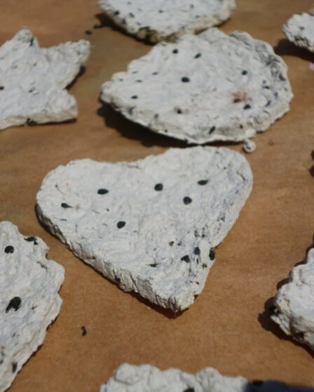 handmade flower seed bomb