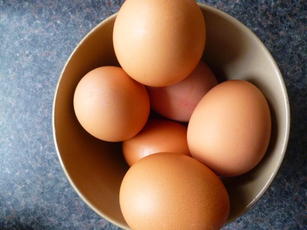 How to boil an egg Lion Eggs