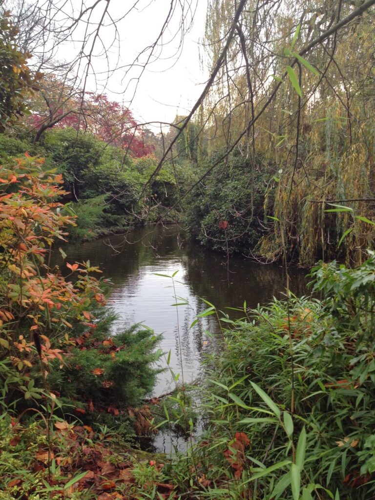 Shrewsbury Dingle in Autumn