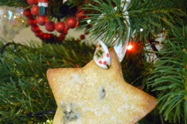 frosted_cranberry_christmas_cookie