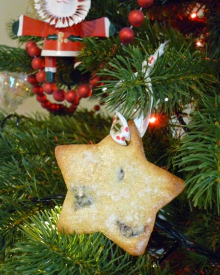 frosted_cranberry_christmas_cookie