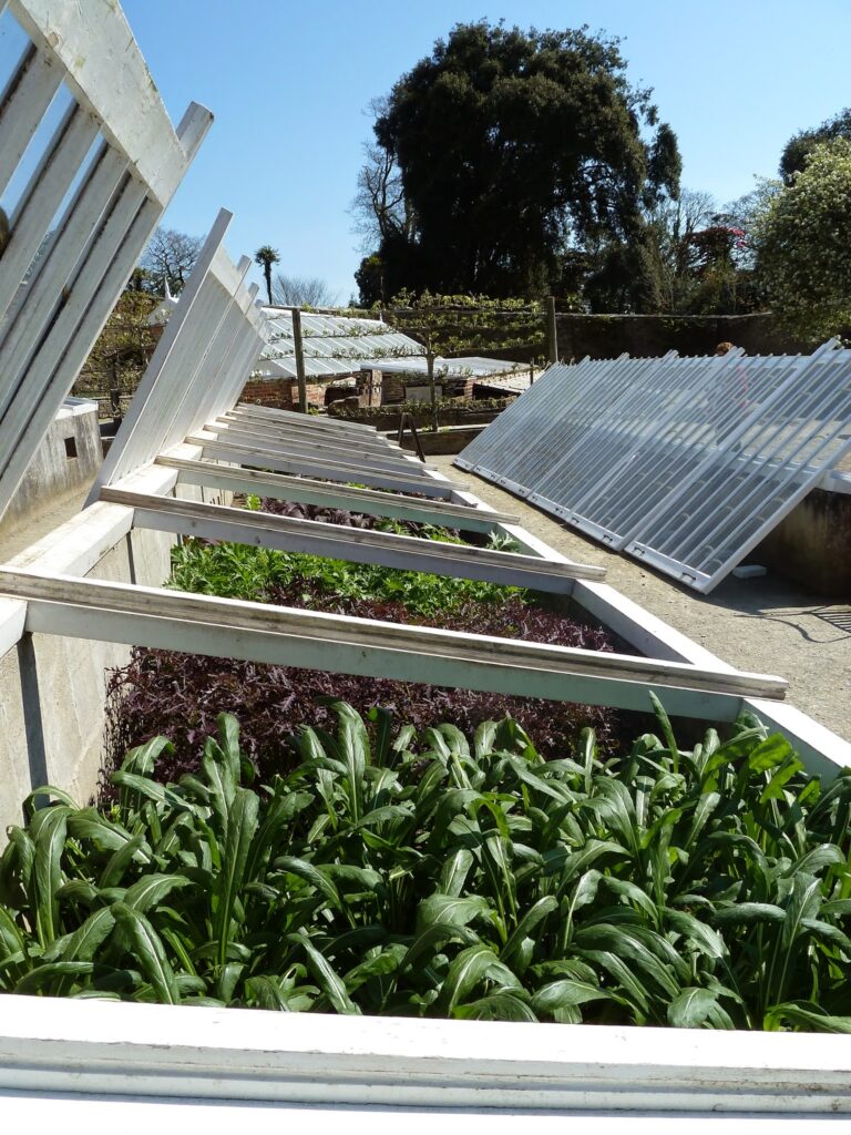 Impressive Cold Frames
