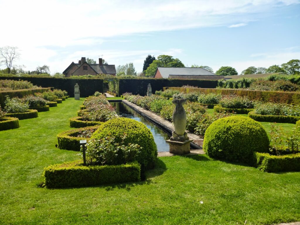 David Austin Roses Gardens