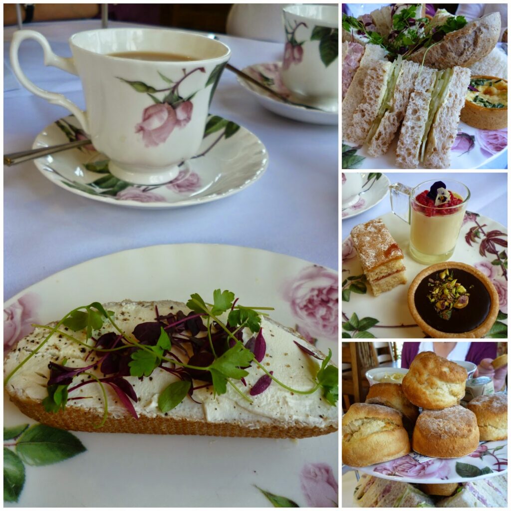Afternoon Tea - David Austin Roses