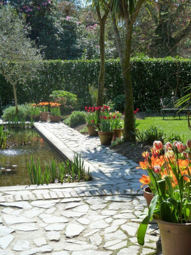 Tulips in  the Italian Sunken Garden