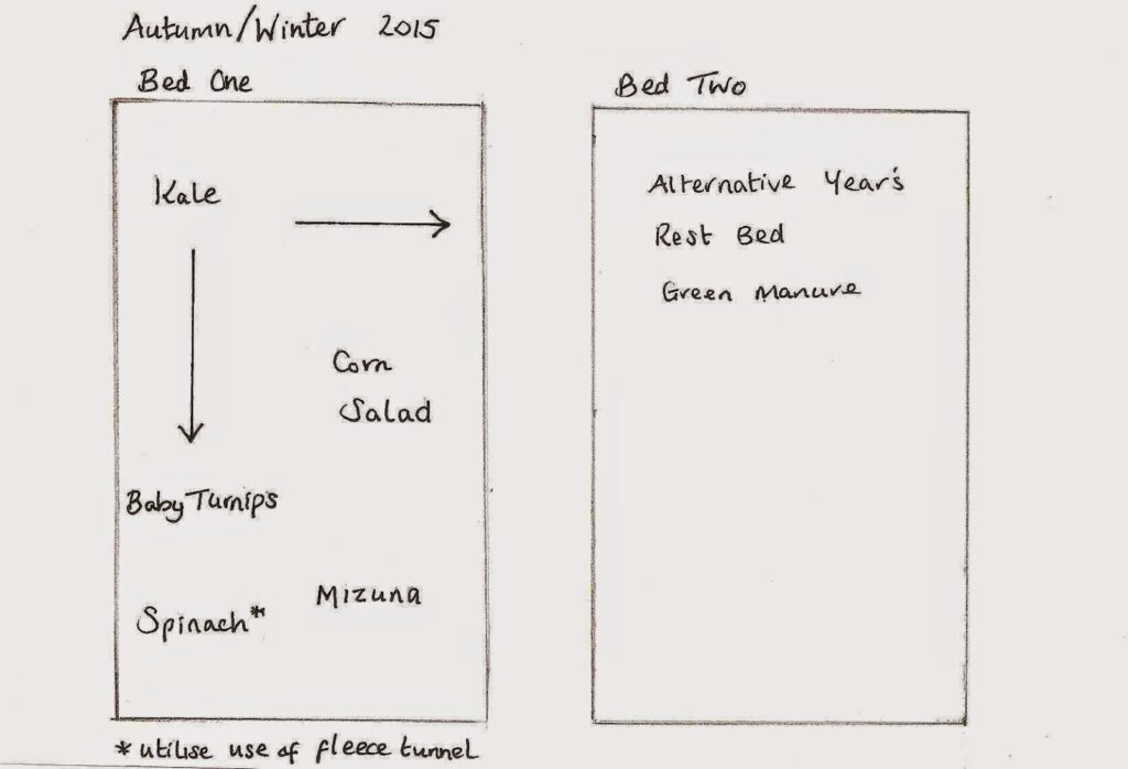 Autumn Winter Vegetable Planting Plan Autumn Winter Vegetable Planting Plan