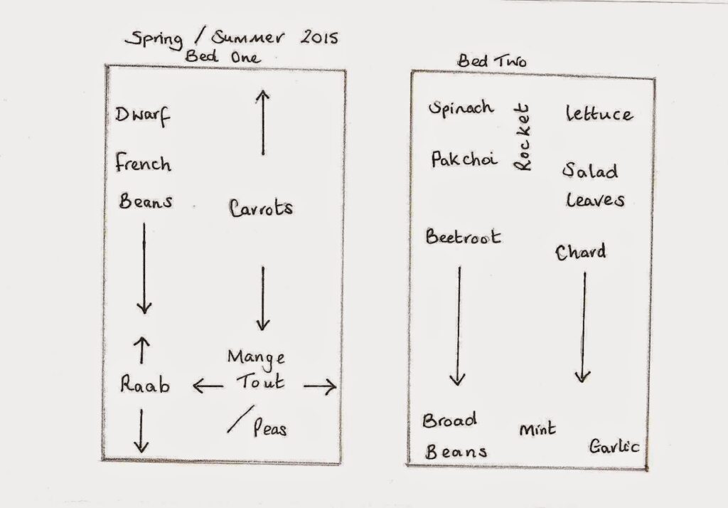 Spring Summer Vegetable Planting Plan Spring Summer Vegetable Planting Plan