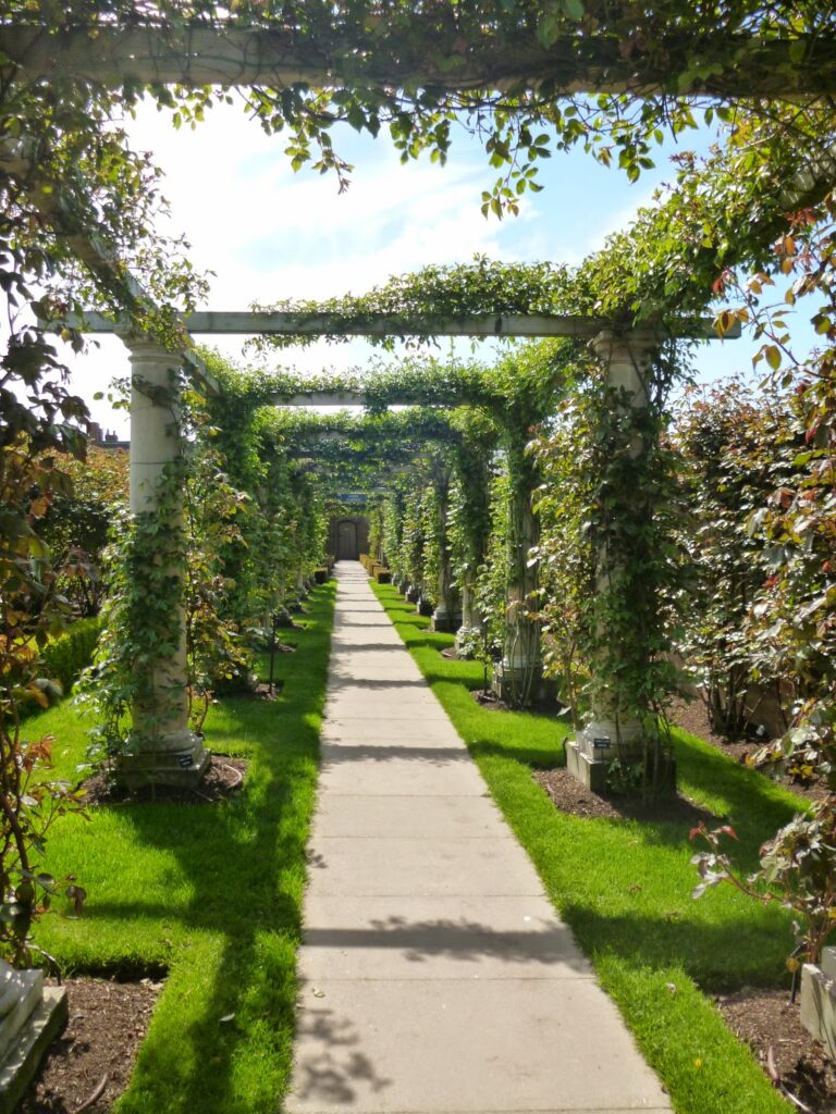 Pergola Avenue with climbing Roses