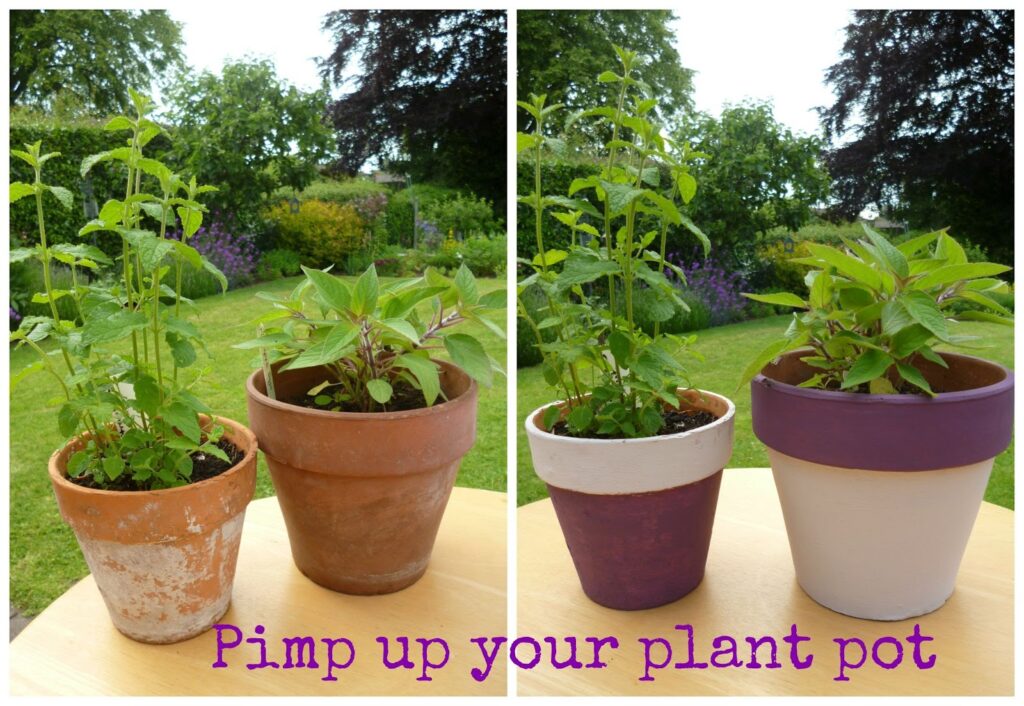 Add painted flower pots garden painting plant pots add colour to garden trends