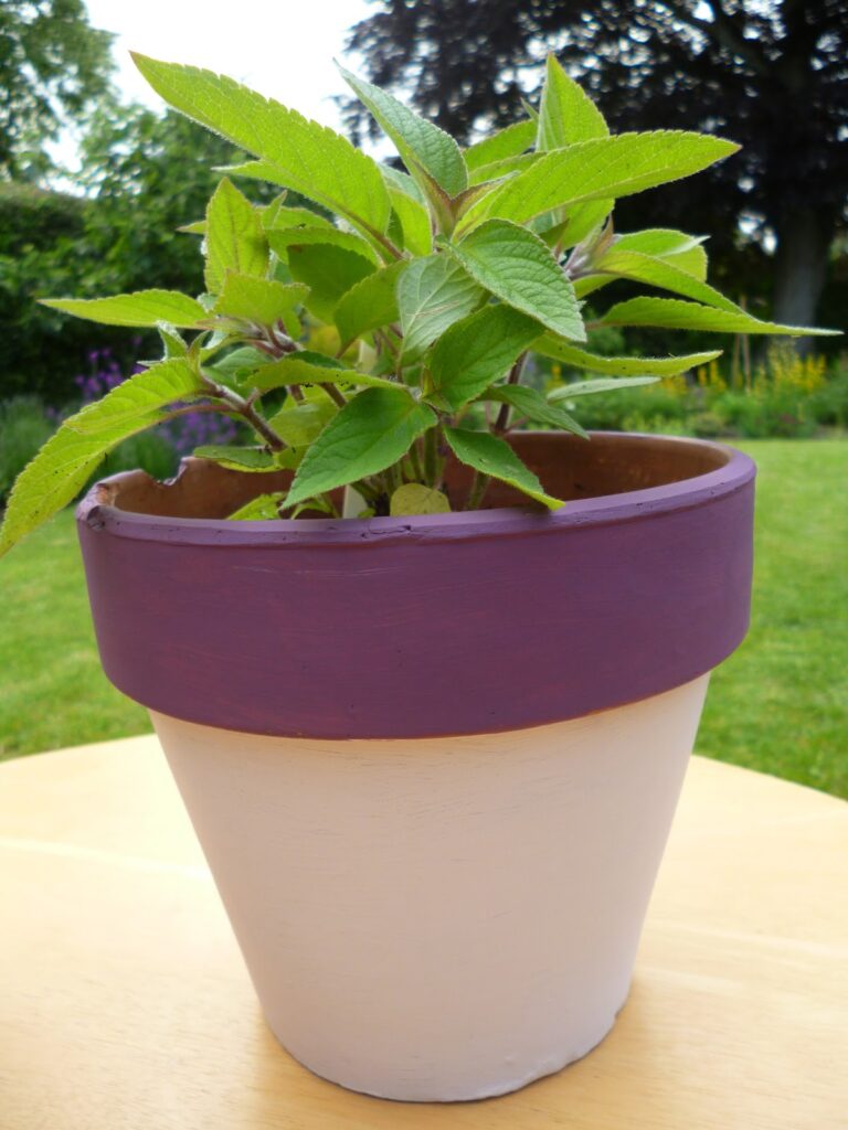 Painted Plant Pot Painted Plant Pot