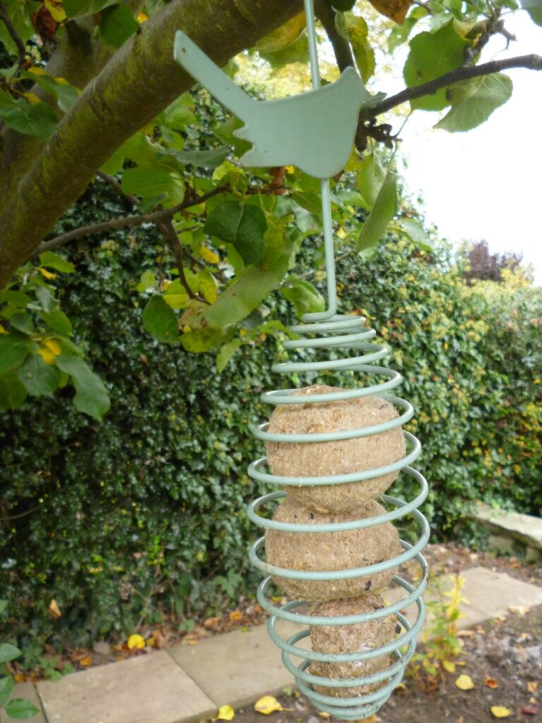 Fat Ball Bird Feeder Fat Ball Bird Feeder