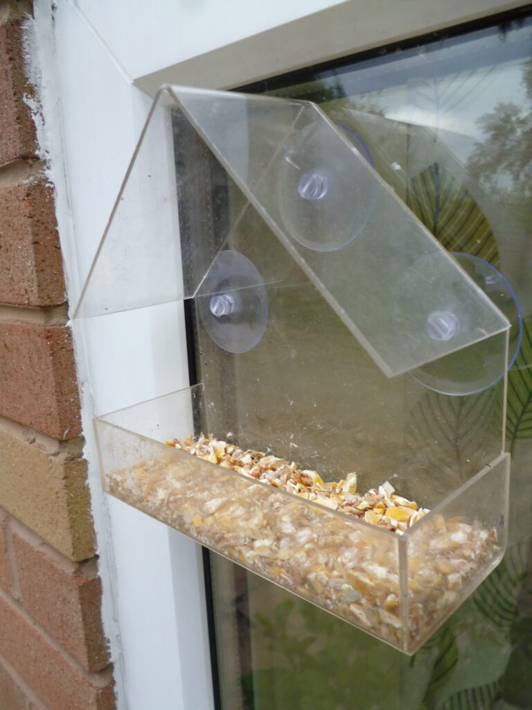 Bird Seed Feeder for Window Bird Seed Feeder for Window