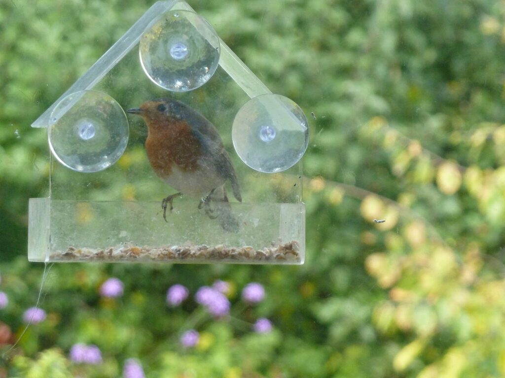Window bird feeder Window bird feeder