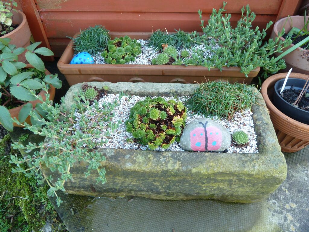 Alpine trough Alpine trough