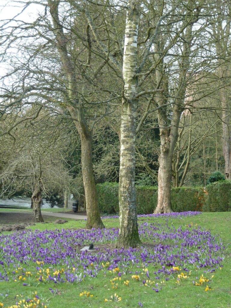 Dale End Park - Ironbridge