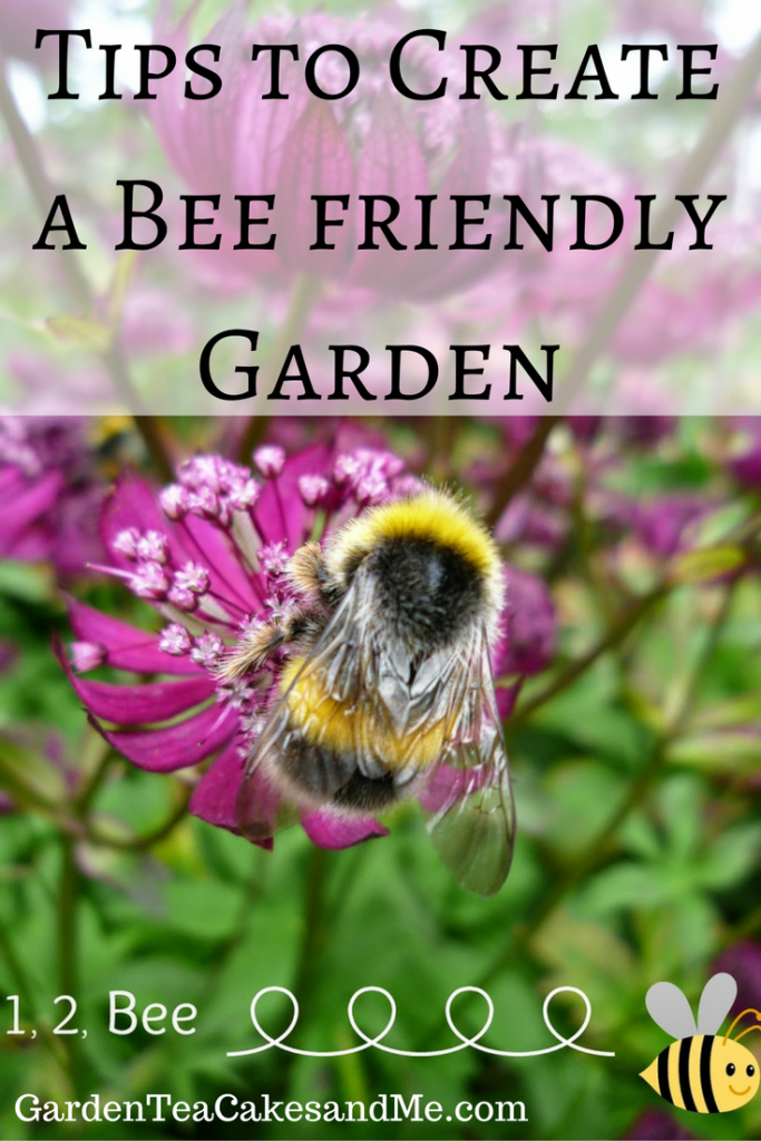 Tips How to create bee friendly garden plants Tips How to create bee friendly garden plants
