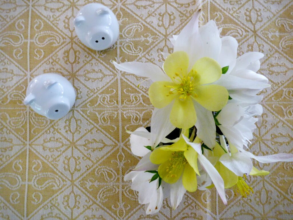 Aquilegia & Mock Orange Posy with Piggy Cruet Set Aquilegia & Mock Orange Posy with Piggy Cruet Set