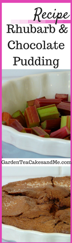 Rhubarb Chocolate Sponge Pudding Recipe dessert Rhubarb Chocolate Sponge Pudding Recipe dessert