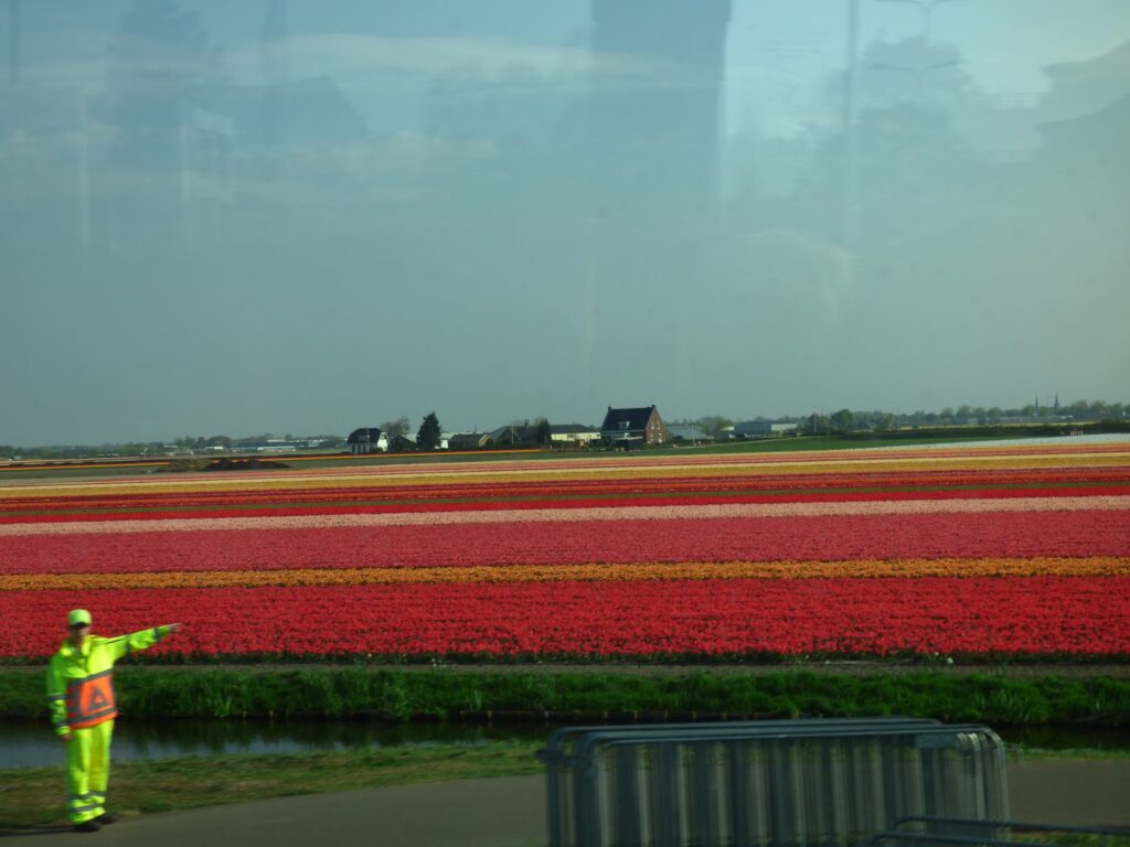 Visit Keukenhof Tulip Gardens Dutch Bulb Fields Visit Keukenhof Tulip Gardens Dutch Bulb Fields