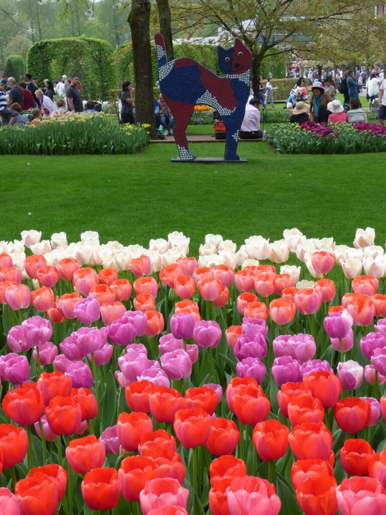 Visit Guide Keukenhof Tulip Gardens Holland Visit Guide Keukenhof Tulip Gardens Holland