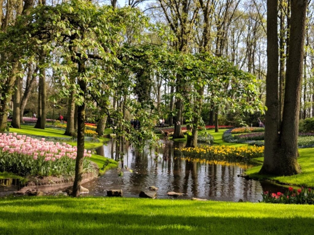 Visit Guide Keukenhof Tulip Gardens Holland Visit Guide Keukenhof Tulip Gardens Holland