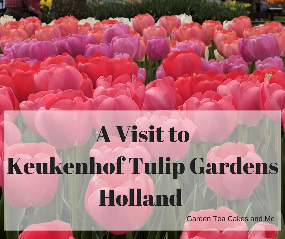 kuekenhop tulip festival fred olsen cruise holiday
