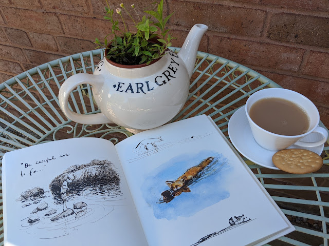 the boy mole fox horse illustrated book review