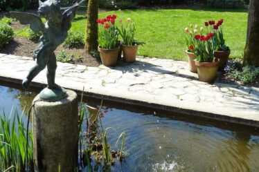 water feature add value home
