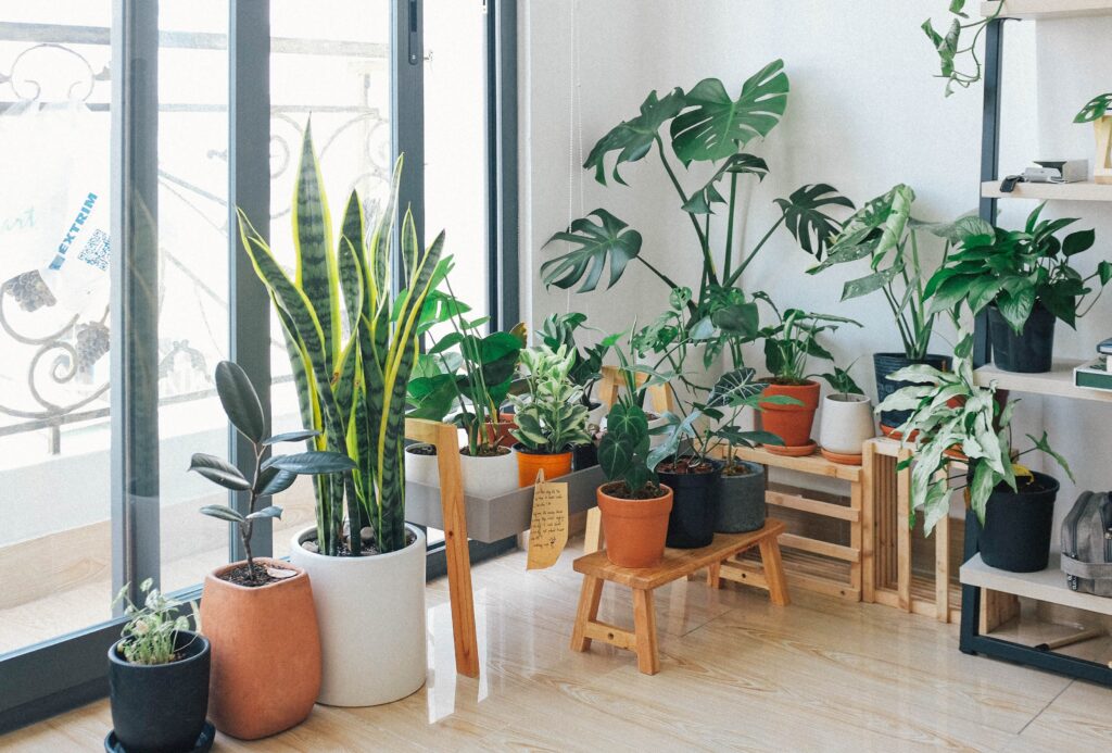 Smart Tips Making Luxury Upgrades for Comfortable Home