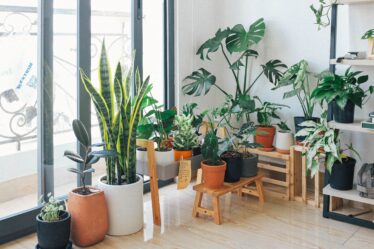 Smart Tips Making Luxury Upgrades for Comfortable Home
