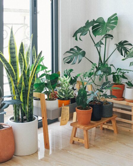 Smart Tips Making Luxury Upgrades for Comfortable Home