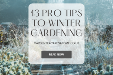 13 pro tips to winter gardening