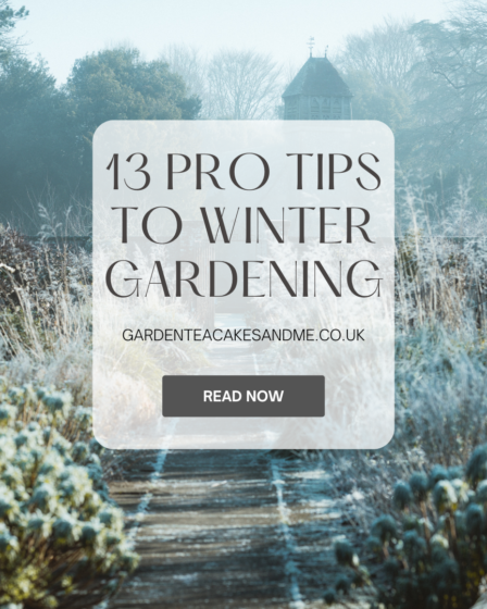 13 pro tips to winter gardening