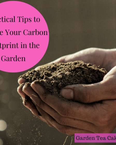 Practical Tips to Reduce Your Carbon Footprint in the Garden