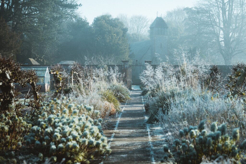 13 pro tips to winter gardening