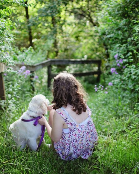 Tips on Making the Most of Your Garden